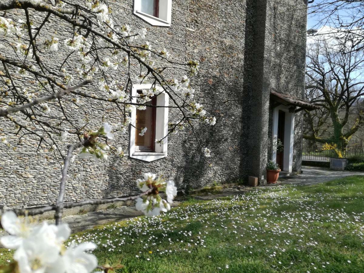 Casa Nel Verde Decollatura Экстерьер фото