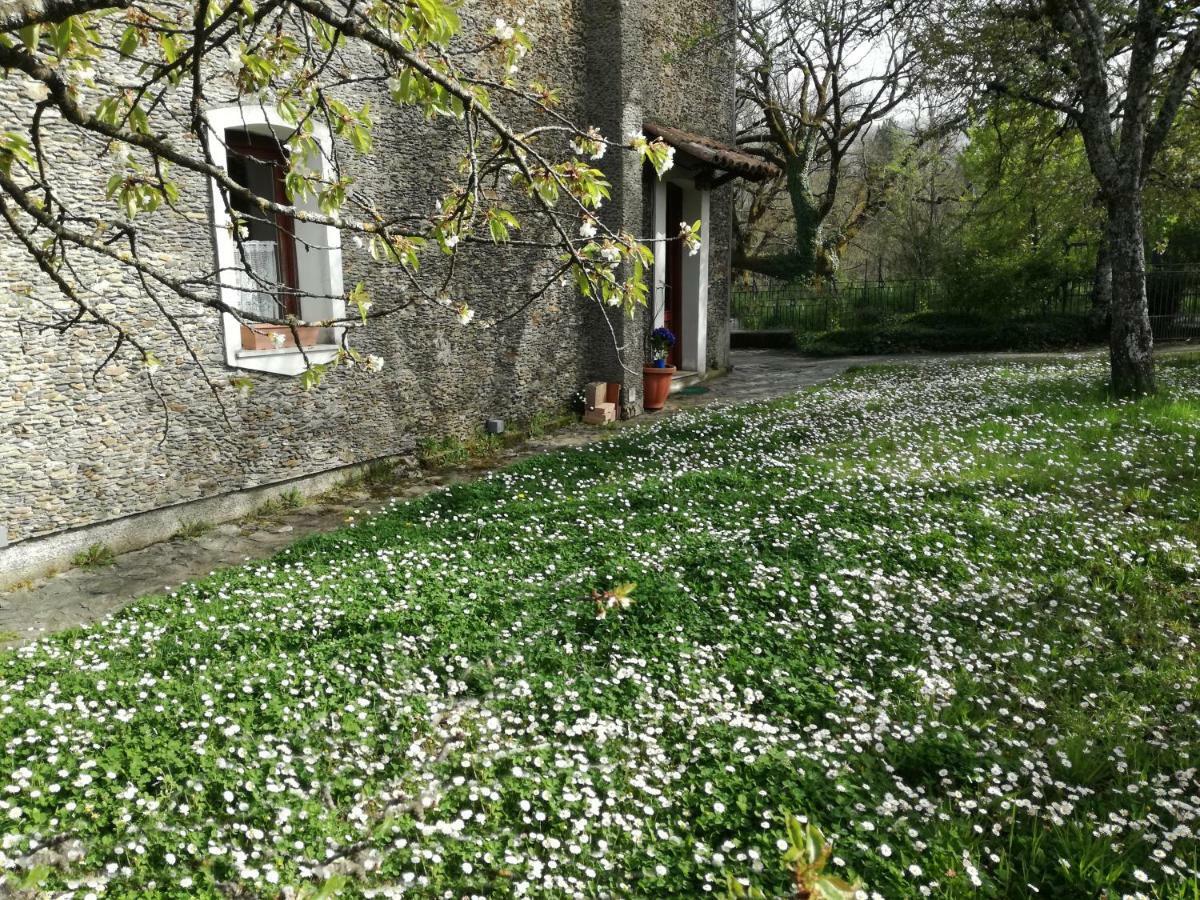 Casa Nel Verde Decollatura Экстерьер фото